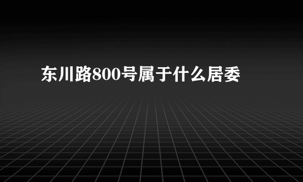 东川路800号属于什么居委