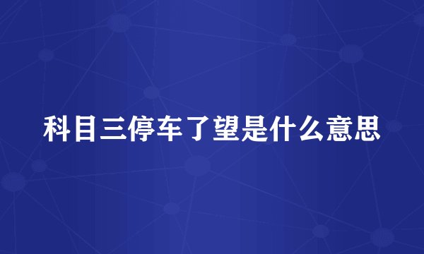 科目三停车了望是什么意思