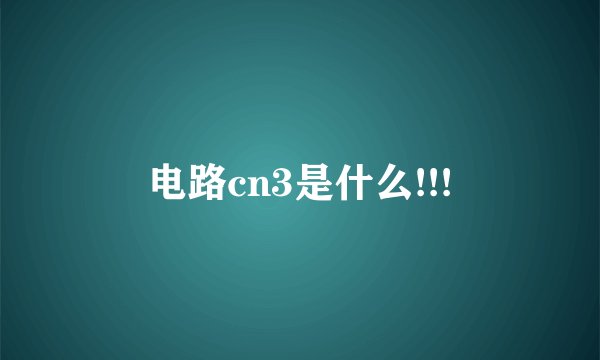 电路cn3是什么!!!