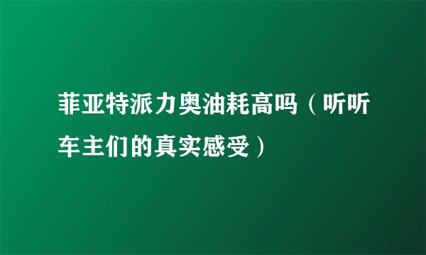 菲亚特派力奥油耗高吗（听听车主们的真实感受）