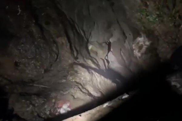 曲靖一只小狗掉深洞6年后被救,这只小狗是如何得救的?