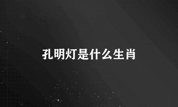 孔明灯是什么生肖