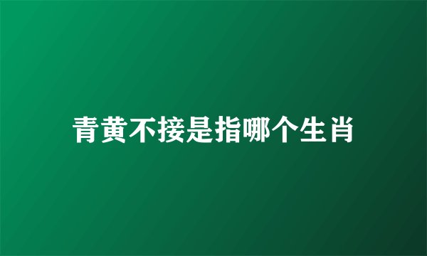 青黄不接是指哪个生肖