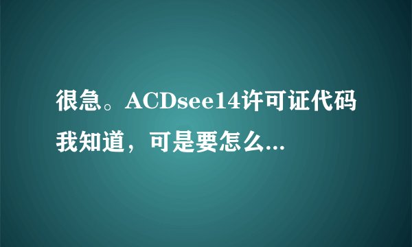 很急。ACDsee14许可证代码我知道,可是要怎么修改注册表键值阿?请具体点!!
