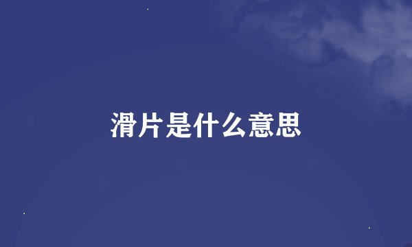 滑片是什么意思