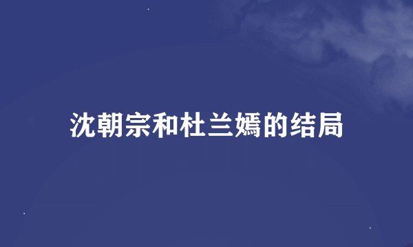 沈朝宗和杜兰嫣的结局