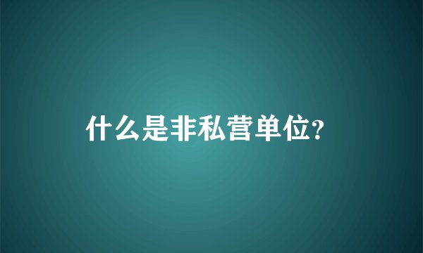 什么是非私营单位？