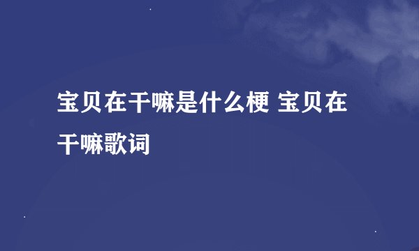 宝贝在干嘛是什么梗 宝贝在干嘛歌词