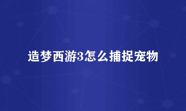 造梦西游3怎么捕捉宠物