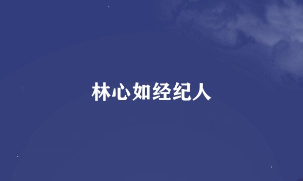 林心如经纪人