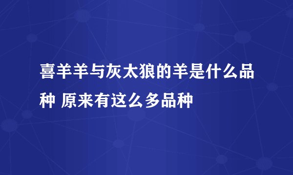 喜羊羊与灰太狼的羊是什么品种 原来有这么多品种