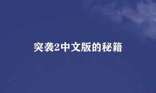 突袭2中文版的秘籍