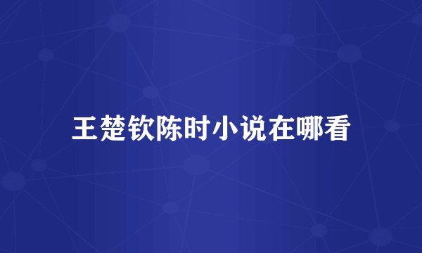 王楚钦陈时小说在哪看