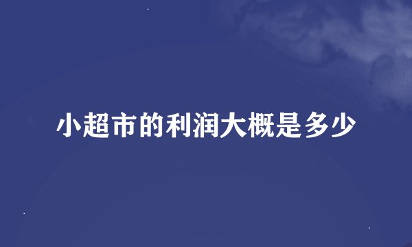 小超市的利润大概是多少
