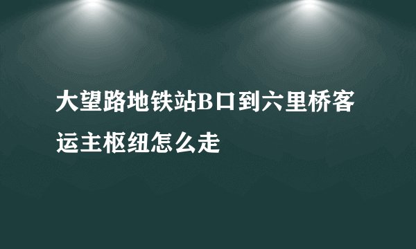 大望路地铁站B口到六里桥客运主枢纽怎么走