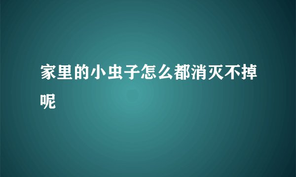 家里的小虫子怎么都消灭不掉呢