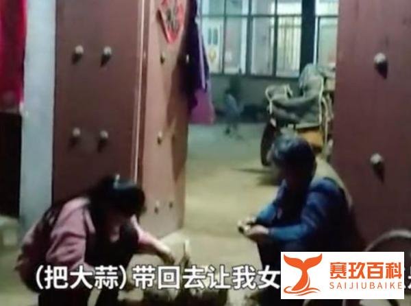 五一返城泪目,母亲连夜挖40斤大蒜给女儿,母亲:她有两个孩子