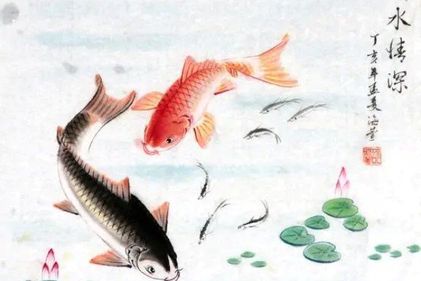鱼水之情的意思