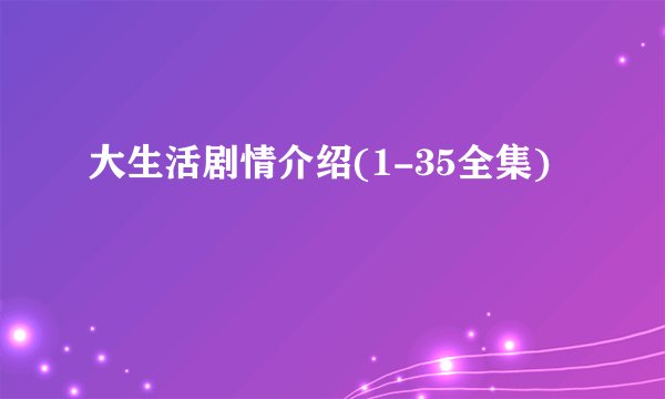 大生活剧情介绍(1-35全集)