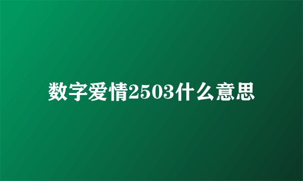 数字爱情2503什么意思