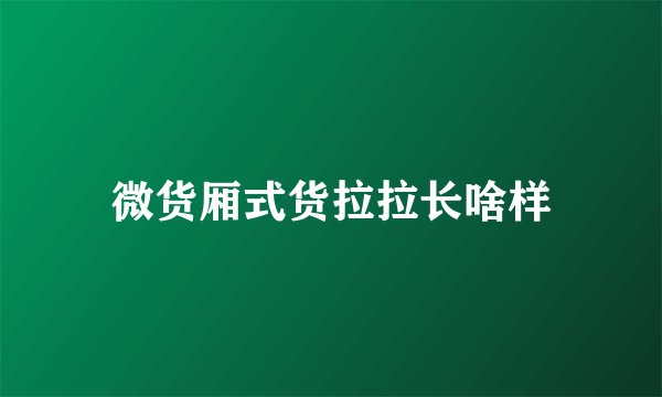 微货厢式货拉拉长啥样