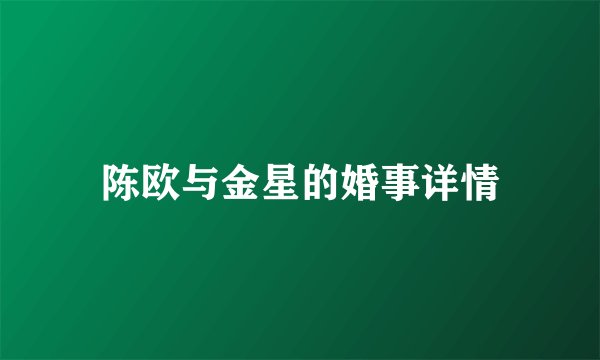 陈欧与金星的婚事详情
