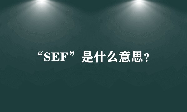 “SEF”是什么意思?