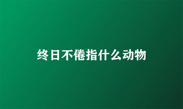终日不倦指什么动物