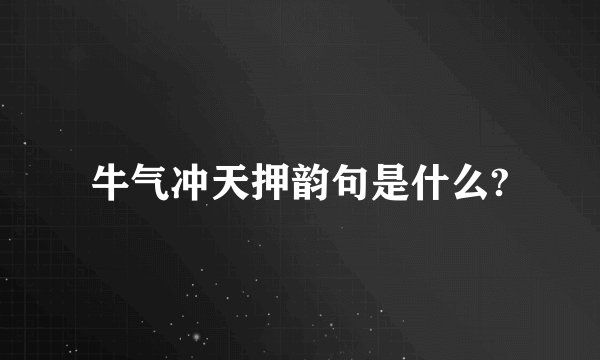 牛气冲天押韵句是什么?
