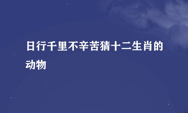 日行千里不辛苦猜十二生肖的动物
