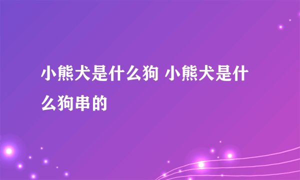 小熊犬是什么狗 小熊犬是什么狗串的