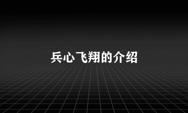 兵心飞翔的介绍