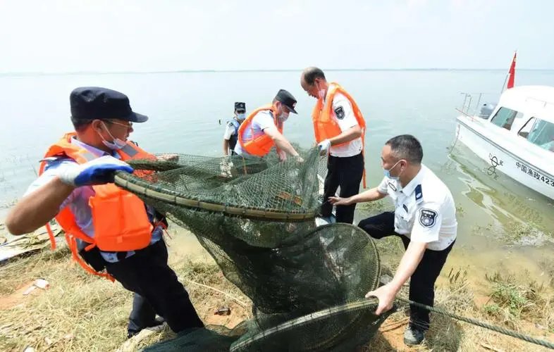 官方回应鄱阳湖现巨型地笼阵：两年前残留，已清理，这是怎么形成的？