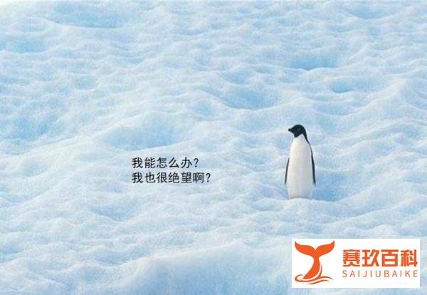春天来了，“发春”还会远吗？