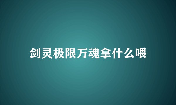 剑灵极限万魂拿什么喂