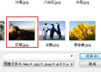 电脑QQ个人资料背景怎么换