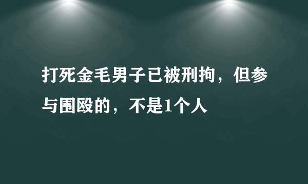 打死金毛男子已被刑拘，但参与围殴的，不是1个人