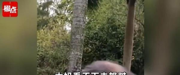 男子在相亲公园举牌相亲，月工资6千 要求女方工资一万二，遭到大妈怒怼