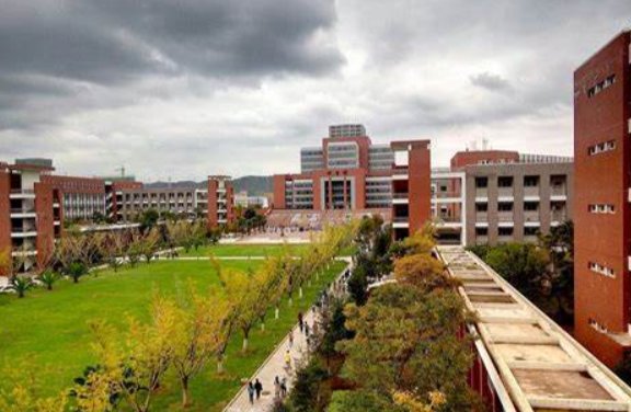 著名大学本科生被评为专职驾驶员，所属公司对此有何回应？