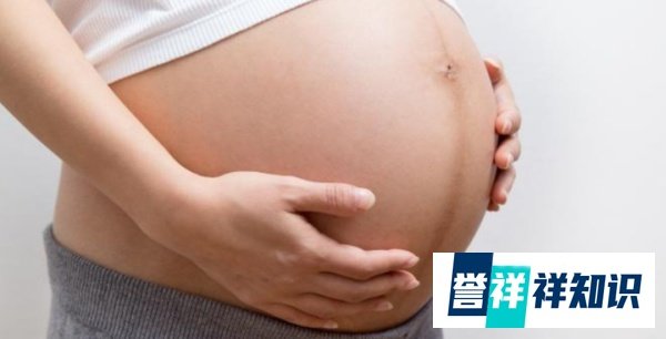专家建议尽快放开三孩上热搜，网友炸锅：你来养？