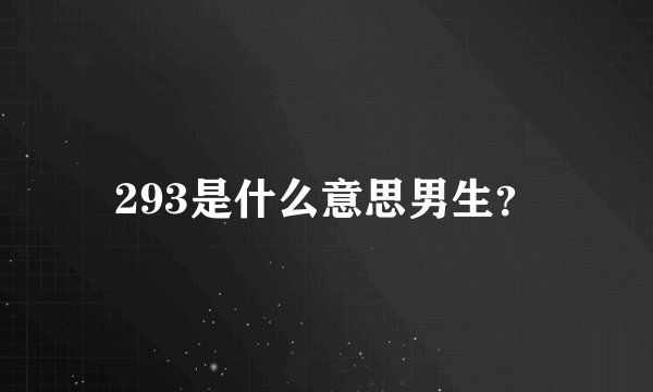 293是什么意思男生?
