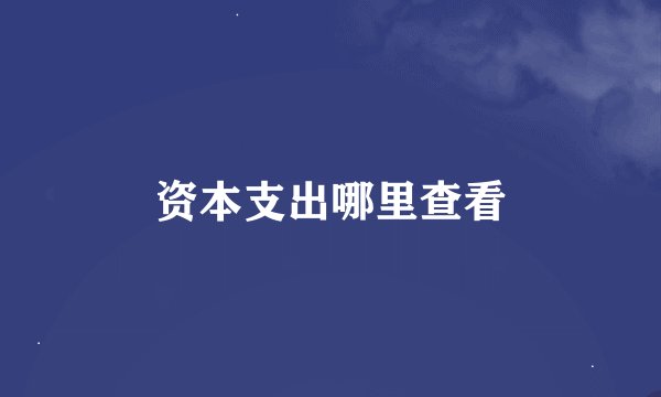 资本支出哪里查看