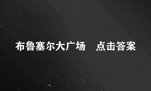 布鲁塞尔大广场 点击答案