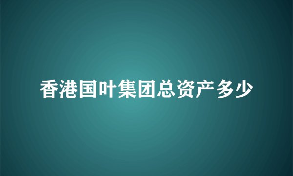 香港国叶集团总资产多少