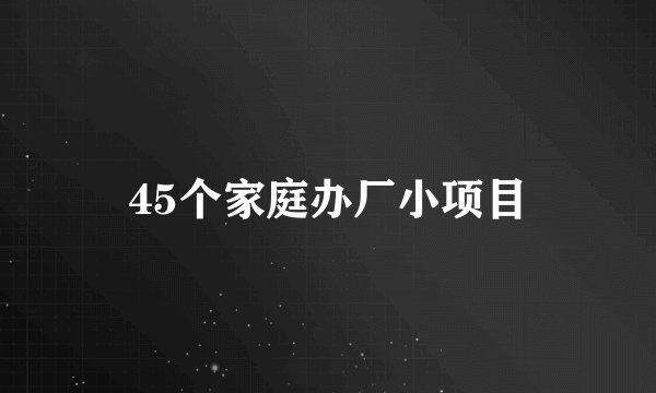 45个家庭办厂小项目