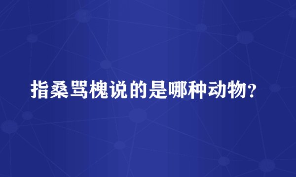 指桑骂槐说的是哪种动物？