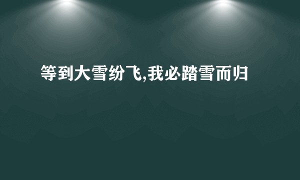 等到大雪纷飞,我必踏雪而归