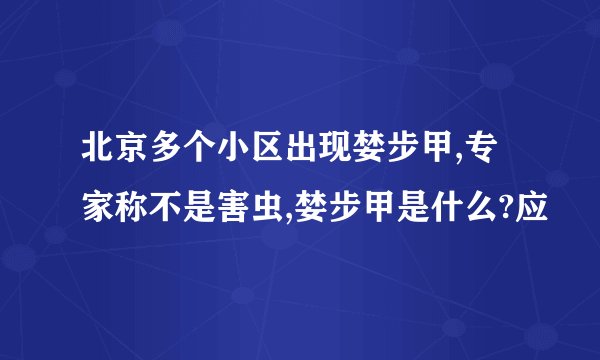 北京多个小区出现婪步甲,专家称不是害虫,婪步甲是什么?应