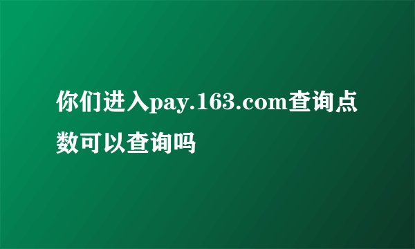 你们进入pay.163.com查询点数可以查询吗