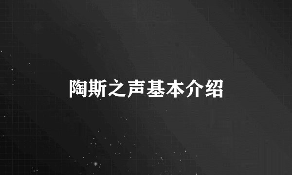陶斯之声基本介绍